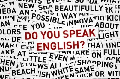 Comment dire  chien  en anglais ?