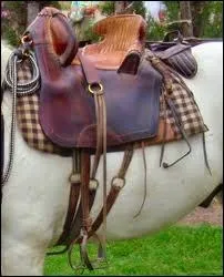 Quelle est cette selle ?