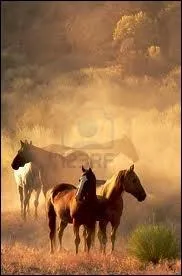 Comment se nomme la figure de mange qui est l'enchanement de 2 obliques ?