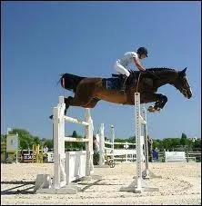 Est-ce un obstacle de vole ?