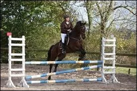 Est-ce un obstacle de vole ?