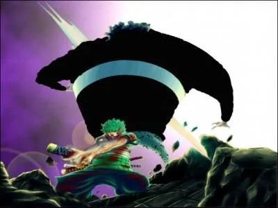 Pourquoi Zoro est-il devenu chasseur de primes ?