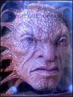 Qui est  Face de Boe  ?