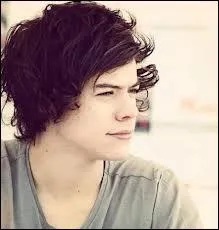 Quelles sont les 3 stars qui font craquer Harry ?