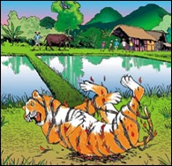 Pourquoi le tigre a-t-il des rayures ? Telle est la question que tente de résoudre un conte qui nous vient du pays dont la capitale est Hanoï.