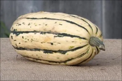 Elle fait partie de l'espce des  curcubitaceae pepo . Son got se rvle plutt fade. Mon marchand de lgumes l'appelle Sweet potatoe.