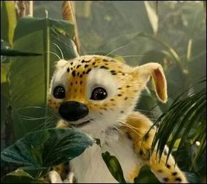 Il est difficile de le rapprocher d'un ordre connu. Nous connaissons pourtant bien ses habitudes : il se rfugie dans un nid empli de plumes d'ara et de fleurs odorantes.