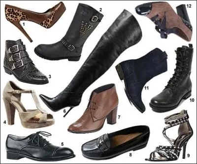 La tendance chaussure de cet Automne/hiver 2012/13 :