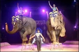 Quelle est cette mission TV cre par Gilles Margaritis ?