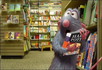 Depuis le temps qu'il voulait aller dans une vraie librairie pour voler Harry Potter, voil, c'est fait. Qui est-ce ?