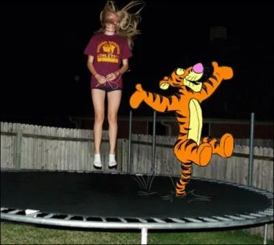 C'est sr qu'avec un guignol comme lui sur le trampoline, on saute moins haut. Qui est-ce ?