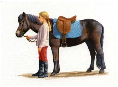 Comment dois-je amener mon poney sur le terrain ?