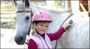 Quelles sont les brosses de pansage lmentaire ?