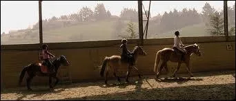 Sur la photo, je suis  main gauche ou  main droite ?