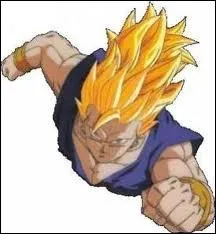 Qui est-ce et quel est son numro en super sayen ?