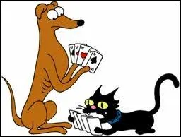 Comment s'appellent leur chien et leur chat ?