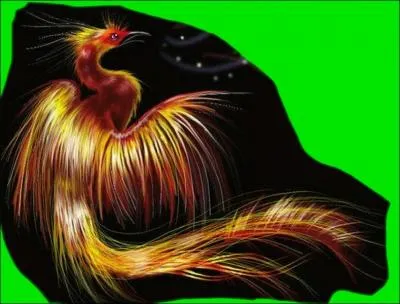 L'envergure des ailes du phoenix est de : (Une bonne rponse)