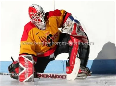 Combien de joueurs composent une quipe de hockey sur glace, gardien de but y compris ?