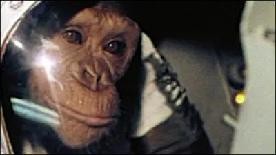 Le 31 janvier 1961, un chimpanz dcollait dans le cadre de la mission Mercury, destine  prparer le premier vol d'un astronaute amricain. Vous rappelez-vous du nom de ce chimpanz ?