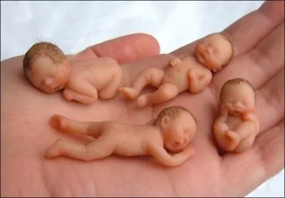 En 2010, le taux de fcondit en France tait de :