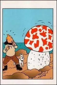 Quel est le titre de cet album de Tintin ?