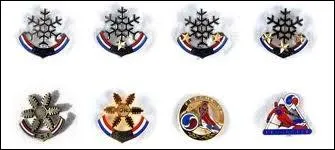 Quelle toile passe-t-on dans le domaine du ski lorsqu'on a dj son toile de bronze ?