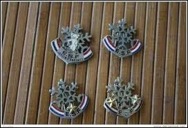 Toujours parmi les tests ESF, quelle insigne est attribue juste avant la premire toile ?