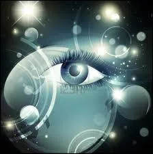 A quel chanteur doit-on les paroles   Laisse moi me blottir sur ta peau 4 toiles, dans ton corps cathdrale  ?