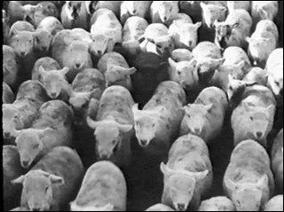 Mais Chaplin se perd dans le scnario parlant alors il dcide de ...