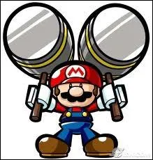 Dans quel jeu voit-on pour la premire fois Mario ?