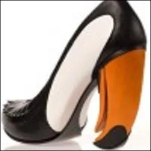 Dans la mme veine, je vous prsente les chaussures...