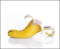 Quel nom conviendrait le mieux  cette pantoufle ?