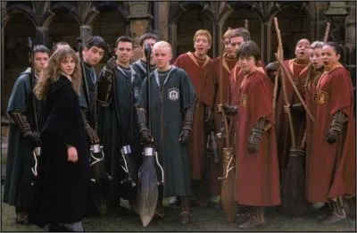 Avant que Harry ne soit  Poudlard, l'quipe de Quidditch de Gryffondor n'avait plus gagn un match depuis que :
