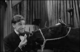 Parmi ces films, lequel existe vraiment ?