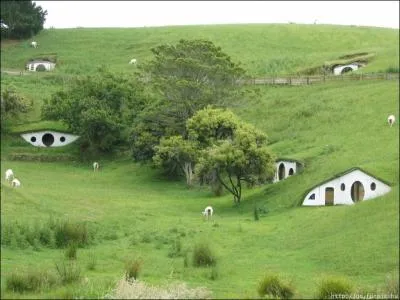 Selon vous, ces maisons conviennent  :