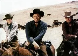 Dans quel film de King Vidor jouait Kirk Douglas ?