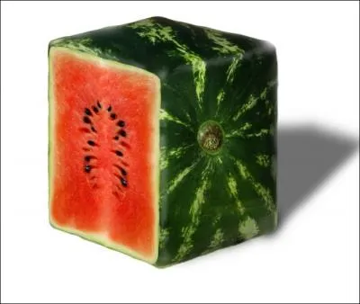 Cette pastque est produite dit-on de manire naturelle. Quel subterfuge les agriculteurs ont-ils mis en place pour y arriver ?