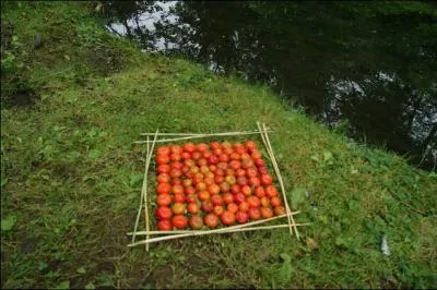 Protger son domaine, son territoire rserv et les ventuelles prrogatives qui s'y attachent.