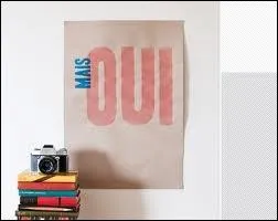 (Suite de la question 3) Tu lui rpondras donc : ...