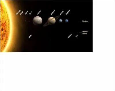 Sur quelle plante la temprature est-elle la plus leve ?