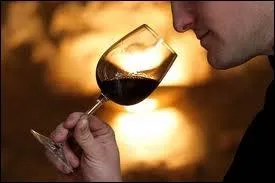 A quel sens fait-on appel pour apprcier la robe d'un vin ?