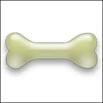 Combien d'os comporte le squelette du chien ?