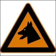 Quel chien mord le plus ?