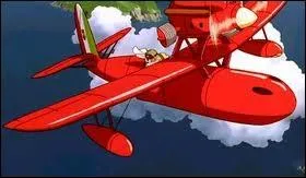 Quelle est la particularit de ce pilote d'hydravion ?