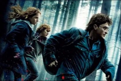 De quoi est-elle la traductrice ?