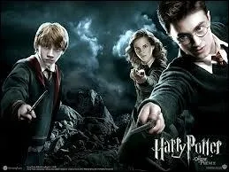 Quel est son patronus ? (voir quiz  Harry Potter : les patronus  par moi)