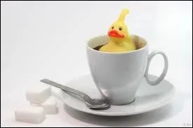 Quand parle-t-on de  canard  en prenant le caf ?