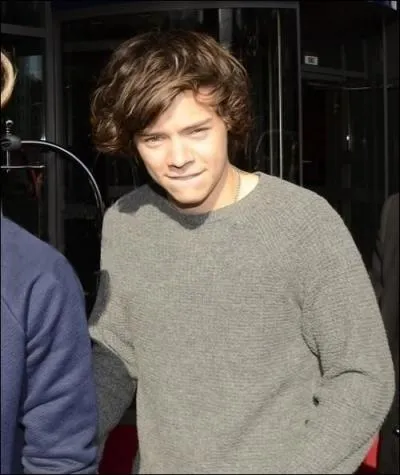 Comment s'appelle la bande dans laquelle Harry chantait avant les One Direction ?