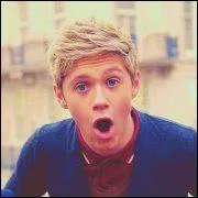Quel mtier voulait faire Niall avant de rentrer dans les One Direction ?