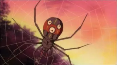 Comment les assistants d'A surnomment-ils l'araigne ?